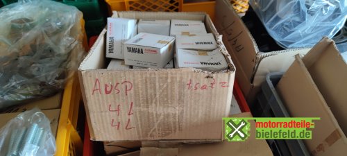 IMG_20230822_172658